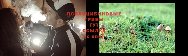 ешки Балахна
