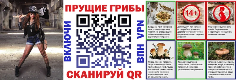 Галлюциногенные грибы MAGIC MUSHROOMS  ОМГ ОМГ рабочий сайт  Балтийск  продажа наркотиков 